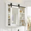 Armoire de toilette Dhunnan