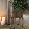 Biche Ruud