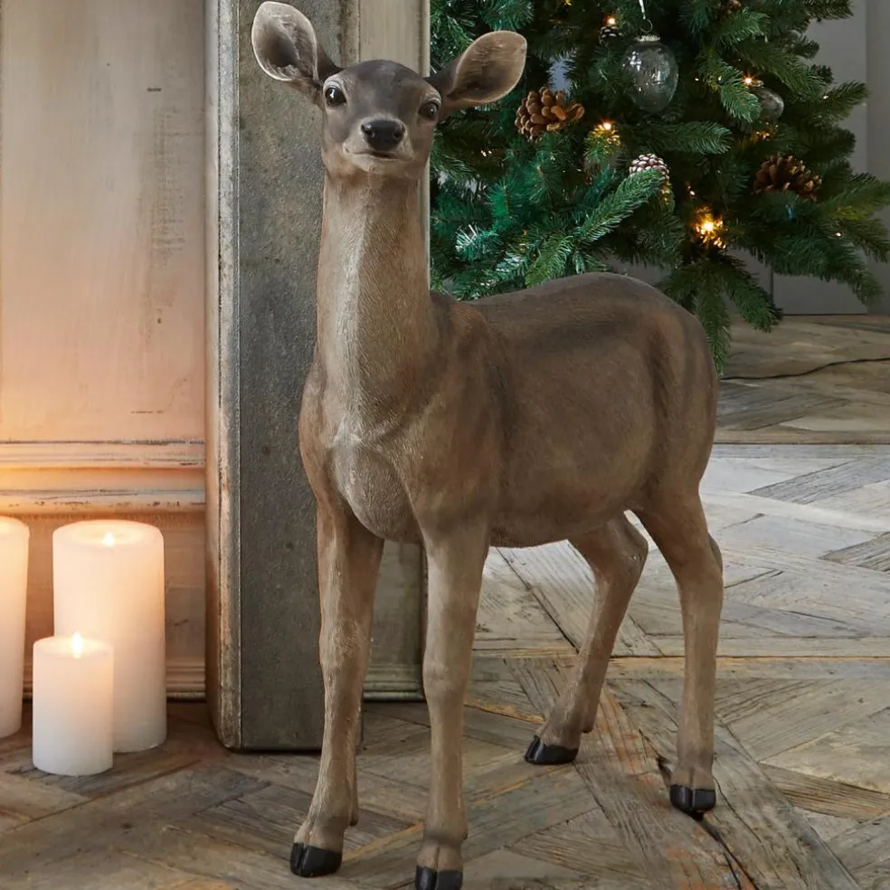 Biche Ruud