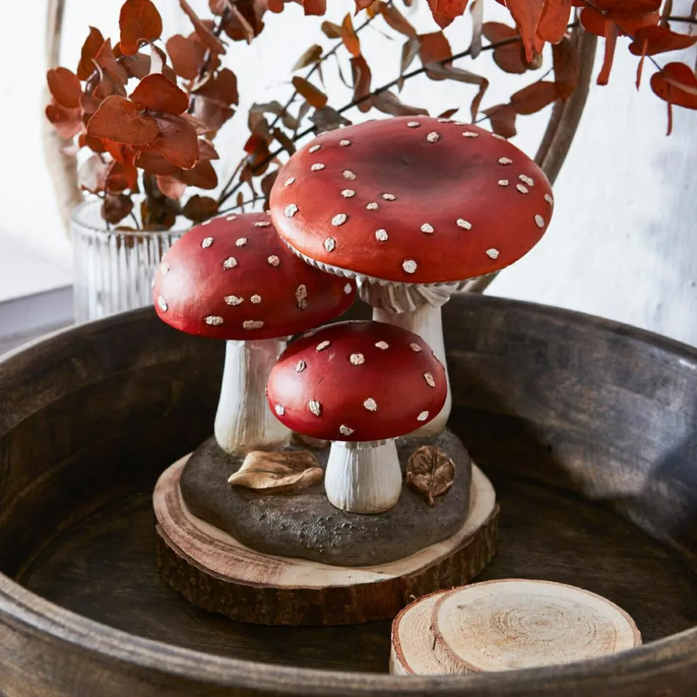 Champignons décoratifs Lupton