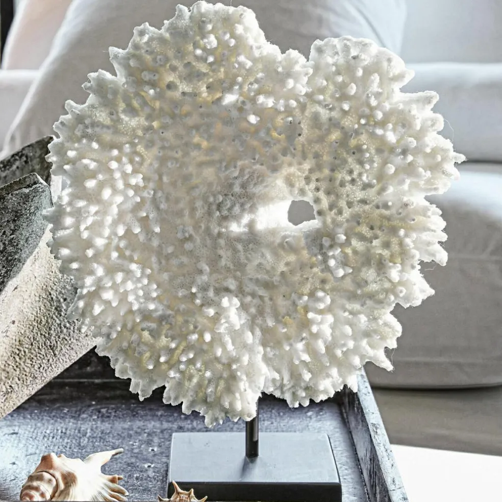 Corail décoratif Condière