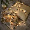 Lot de 2 guirlandes lumineuses LED Crane