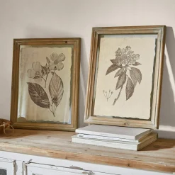 Lot de 2 tableaux Guyra