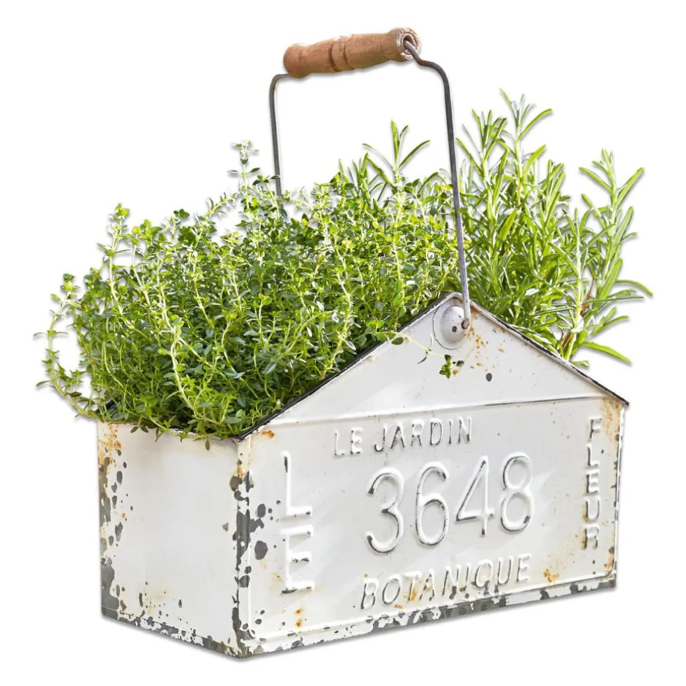 Panier Botanique