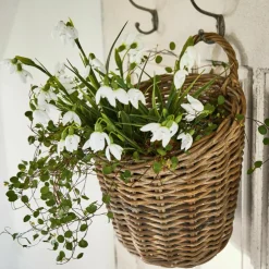 Panier Korovu
