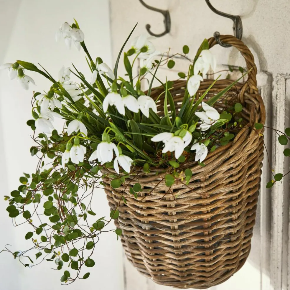 Panier Korovu