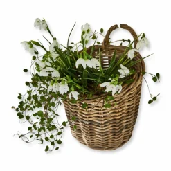 Panier Korovu