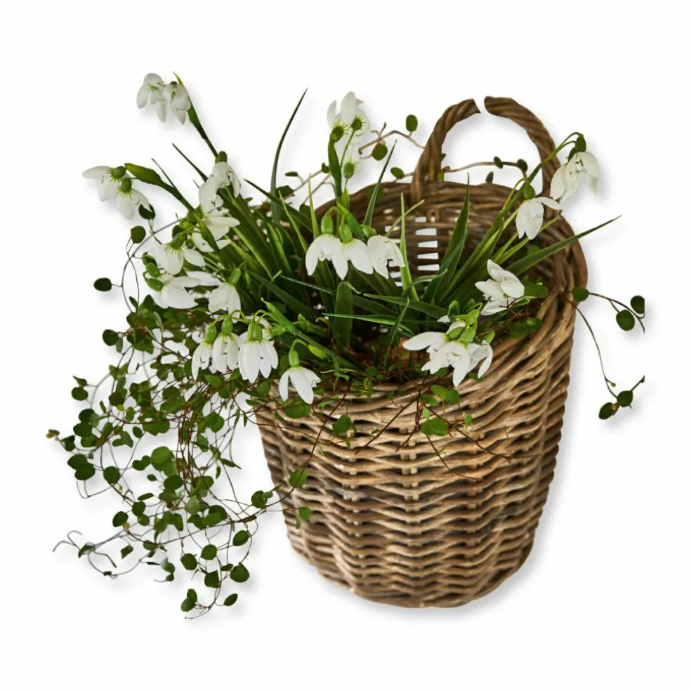 Panier Korovu