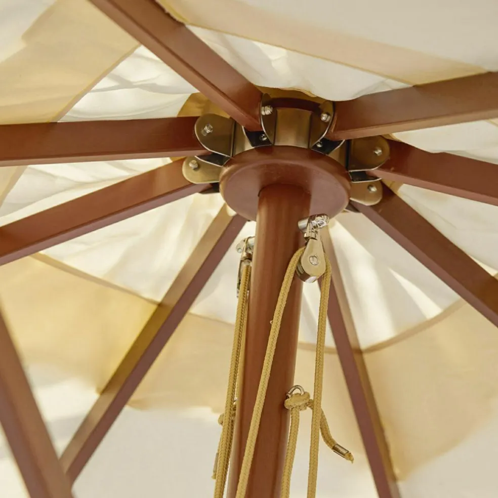 Parasol Barnet