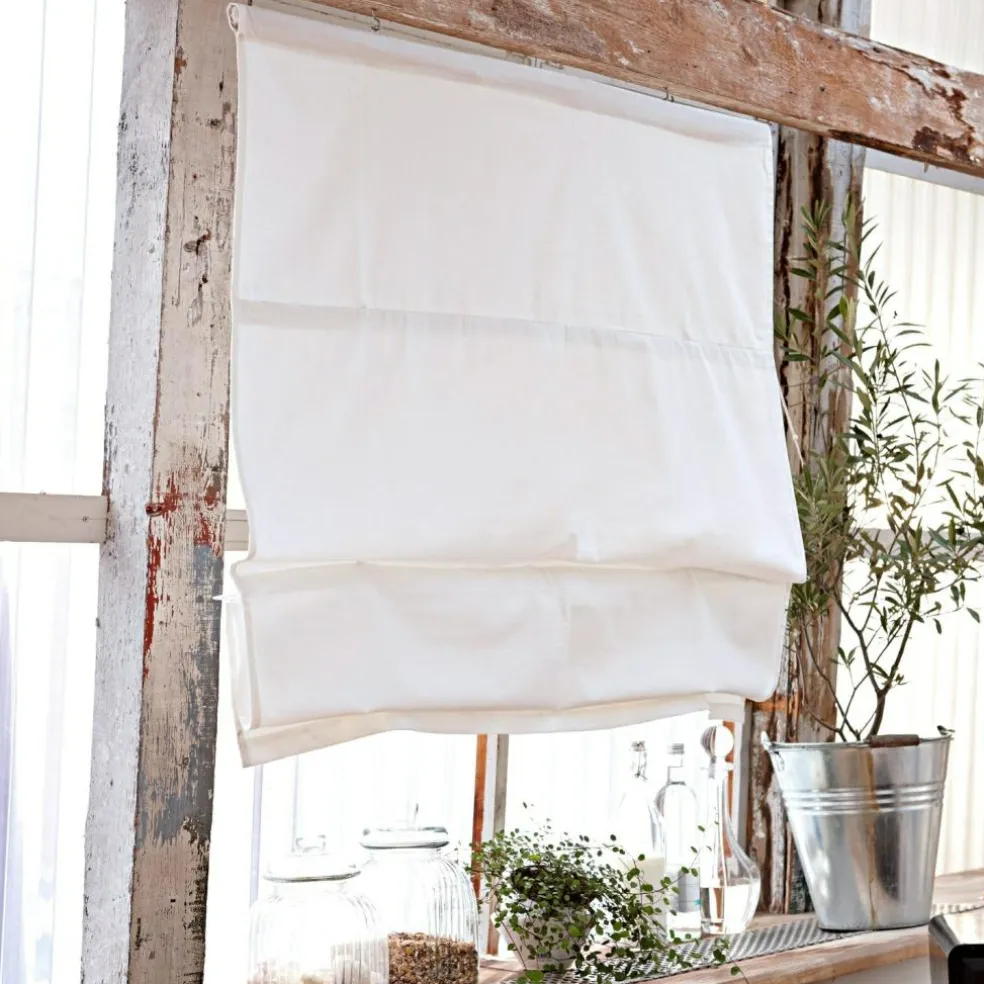 Store bateau Fides