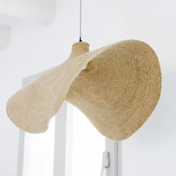 Suspension Thaon