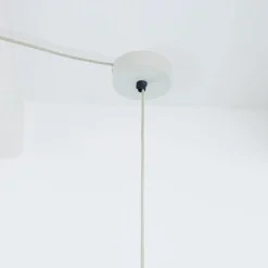 Suspension Thaon