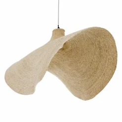 Suspension Thaon