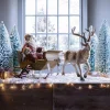 Traîneau du père Noël Palaima